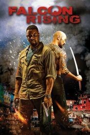 Falcon Rising