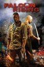 Falcon Rising