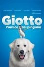 Giotto, l’amico dei pinguini