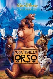 Koda, fratello orso