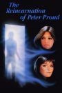 Il misterioso caso Peter Proud