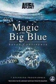 The Magic of The Big Blue