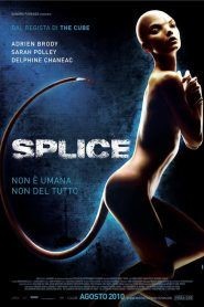 Splice