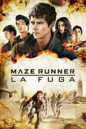 Maze Runner – La fuga