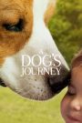 A Dog’s Journey