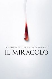 Il Miracolo