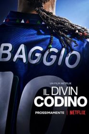 Il Divin Codino