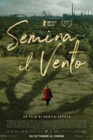 Semina il vento