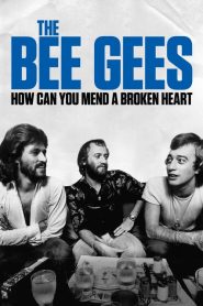 The Bee Gees: How Can You Mend a Broken Heart