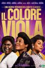 Il colore viola